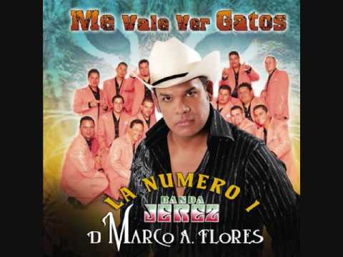 Banda Jerez Me Vale Ver Gatos Bravos