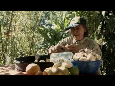 Sigma Art Canon 24mm 35mm 50mm test Blackmagic URSA