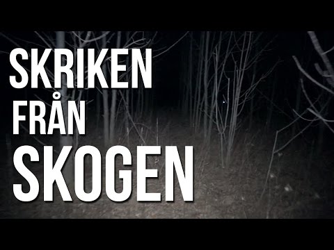 Skriken Från Skogen - Rysare 27 - [Creepypasta]