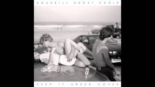 Walk Of Life (Originally by Dire Straits) - Roadkill Ghost Choir