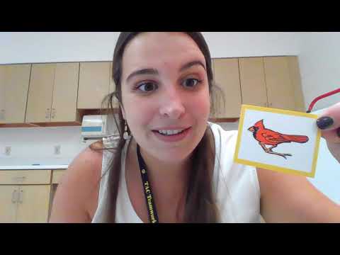 ENL- IRLA Initial Consonant Cards- B