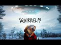 SQUIRREL Horrorshorts Scifi Alien Shorts