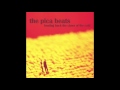 Poor Old Ra by The Pica Beats