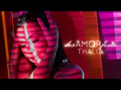 Thalia - No Te Vi - Descripcion - Talk about the song - desAMORfosis