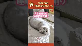 春節ペットシッターで300万の荒稼ぎ！ペットブームの中国で新たな人気副業