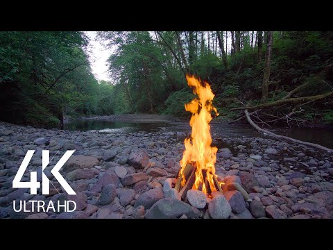 8 HOUR Crackling Campfire by the River - 4K Nature Soundscape with Birds Signing - Part #1