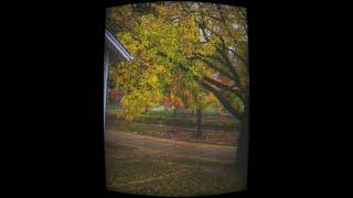 My Father’s House (Ben Harper cover)