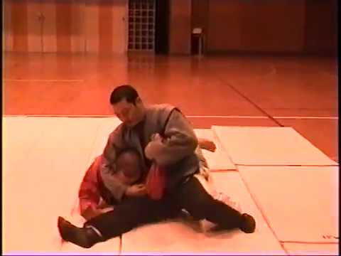 サンボの関節技　アームロック　柔道　柔術