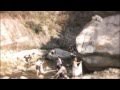 KDrama OST The Song Of Wind From Painter Of The Wind