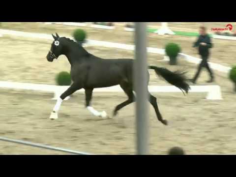 Bon Voyage v. BonCoeur - Rodiamant