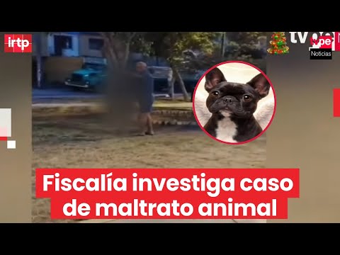 Fiscalía investiga a sujeto que intentó asfixiar a su mascota en plena vía pública en Independencia