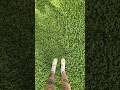 Clover Lawns Trendy Or Worth It ️ Clover Cloverlawn Lawn Landscape Garden Diy Home Yard