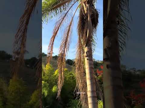 Sul de Minas Gerais e as maravilhas da natureza