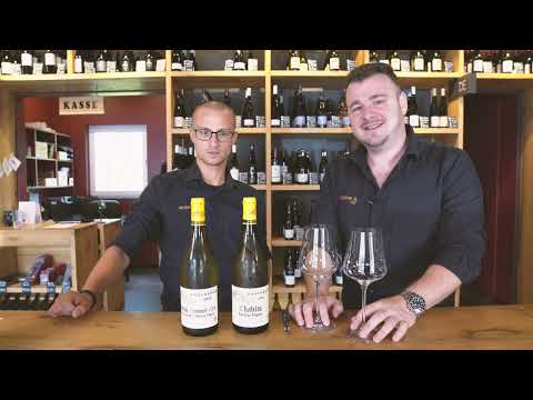 Entdeckungsreise ins Burgund: Die Exklusiven Weine von Domaine Gautheron | Weingüter