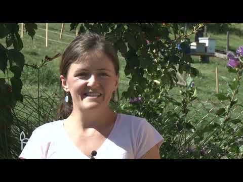 Ulog za profit ep. 52 12.10.2020. Poljoprivredna proizvodnja, Takovo, vinogradarstvo, Aleksandrovac