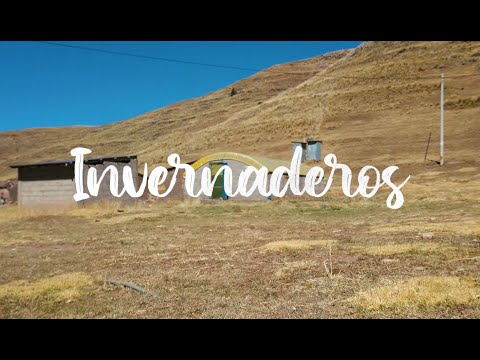 Invernaderos de Antauta, Puno📍