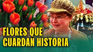 La feria que reúne cientos de flores en Lima: Orquídeas, rosas y tulipanes a todos los precios