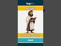 gospel - one of the four Bible books... video thumbnail