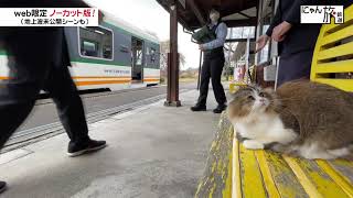 Vol.92「にゃん旅鉄道」わたしに任せてにゃ…！