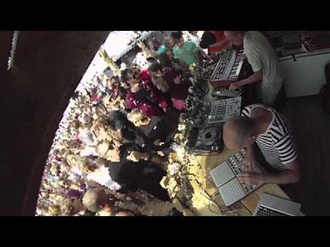 skinnerbox live plötzlich am meer festival 2015