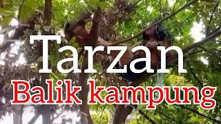 Download lagu tarzan balik kampung/ jay kreasi frodection/ jgn lupa subscribe yee mp3 Download lagu tarzan balik kampung/ jay kreasi frodection/ jgn lupa subscribe yee mp3