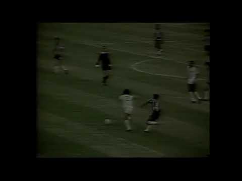 Botafogo 0 x 4 Fluminense - Carioca 1980