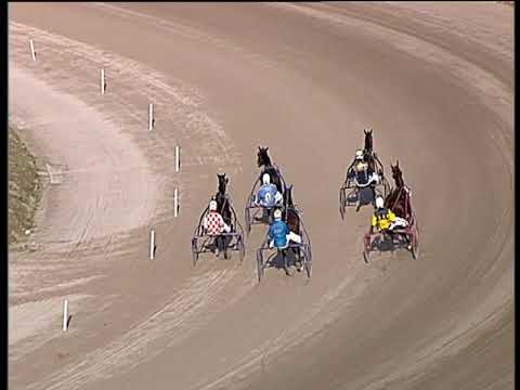 Trotto 11/12/2018 - prova di qualifica