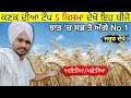 ਕਣਕ ਦੀਆ No.1 ਕਿਸਮਾ • top 5 wheat varieties 2021 || top wheat variety in india | agri advice