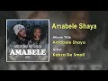 Kabza De Small FT Leehleza - Amabele Shaya Official Song (Audio) - South Africa Music