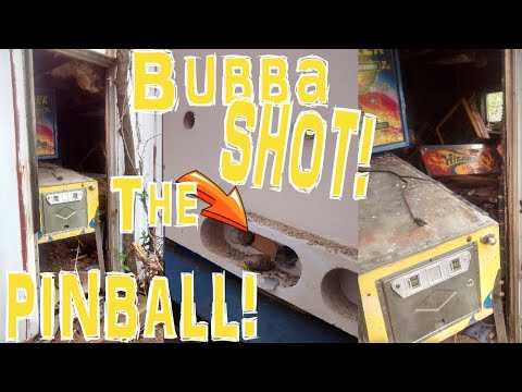 Saving a 1979 Star Trek Pinball Machine SOMEBODY SHOT... Can We Restore It? Horrible Bally Repair