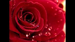 Bin tere Bin tere Bin tere (Lyrics) | Romantic Song - YouTube