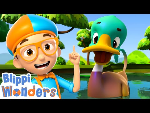 Sink or Float With Ducks! - Blippi Wonders | Blippi Cartoon | Cartoons For Kids