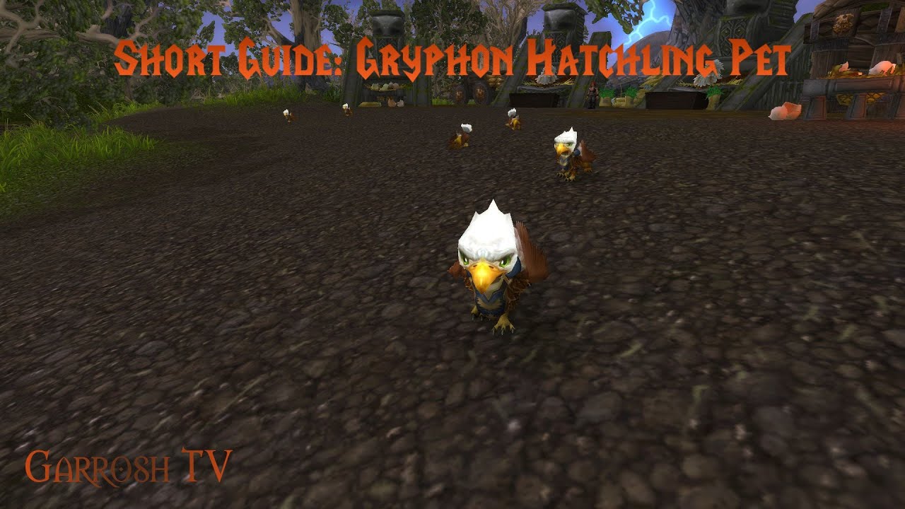Short Guide: Gryphon Hatchling Pet
