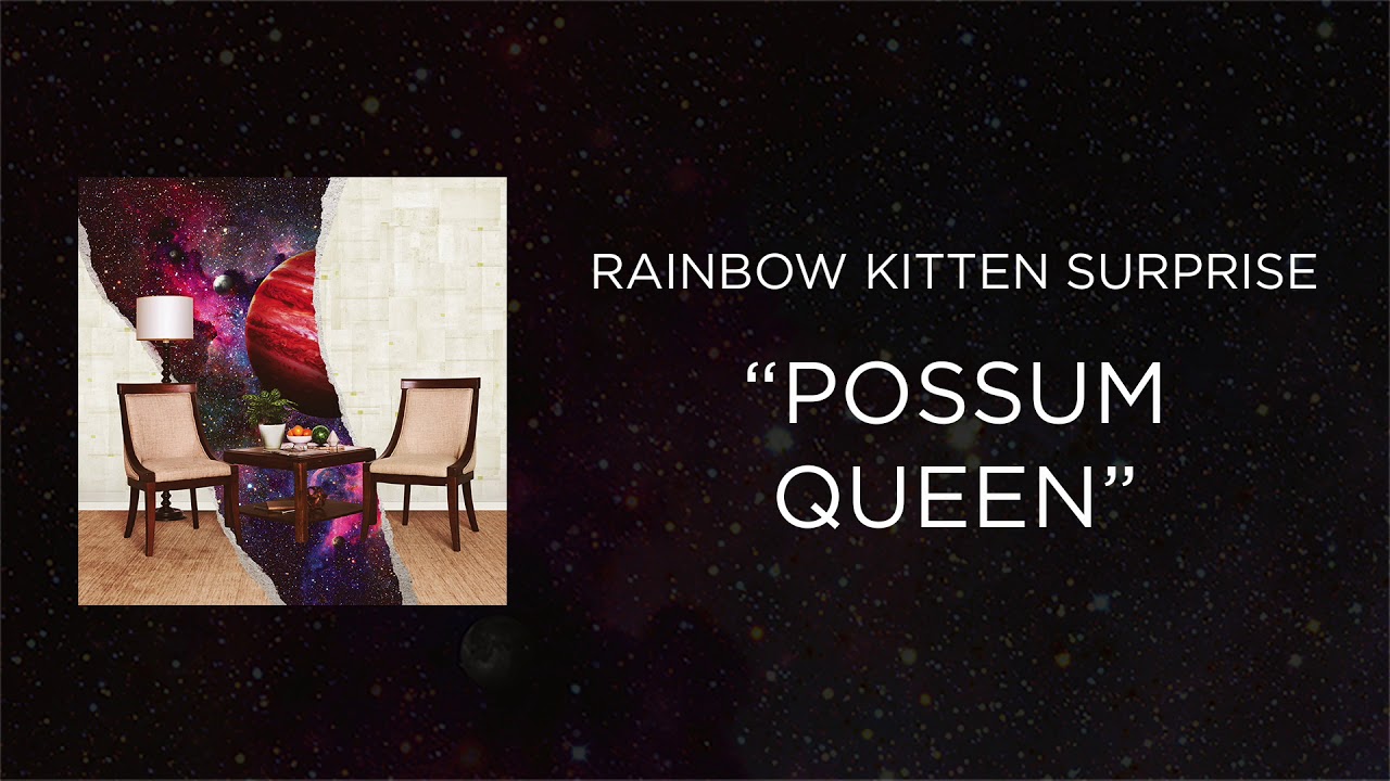 Rainbow Kitten Surprise - Possum Queen