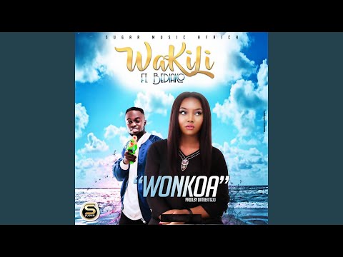 Wonkoa (feat. Bediako)