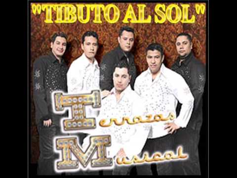 ACTOS DE UN TONTO - TERRAZAS MUSICAL