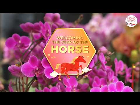 Welcoming the year of the Horse