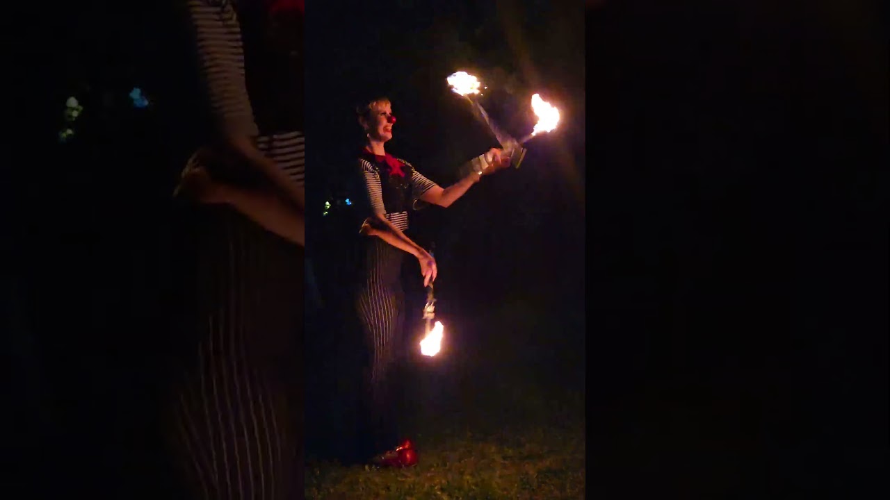Promotional video thumbnail 5 for Secret Cirkus