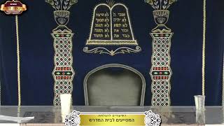 בית המדרש "תורת דוד" ¤ שידור חי ¤ י"א טבת תשפ"ו (31.12.2025) (מוסדות תורת דוד) - התמונה מוצגת ישירות מתוך אתר האינטרנט יוטיוב. זכויות היוצרים בתמונה שייכות ליוצרה. קישור קרדיט למקור התוכן נמצא בתוך דף הסרטון