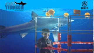 DIA 2 Expo Tiburon48