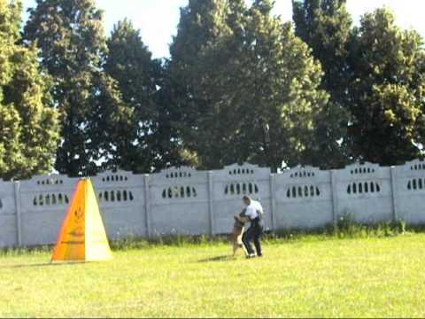 Robin v.Frankengold, семинар с VIT GLISNIK