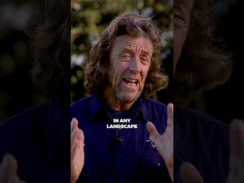 What is Permaculture?