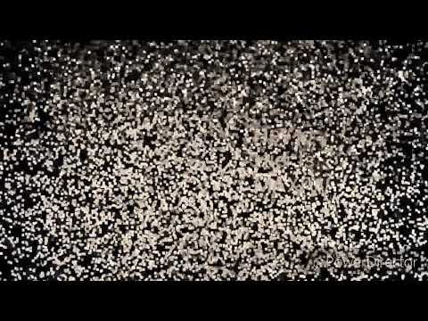 Mal in der eishalle, mann geht ab