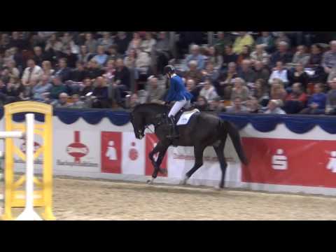 Dominator 2000 Z @ K&K CUP 2017