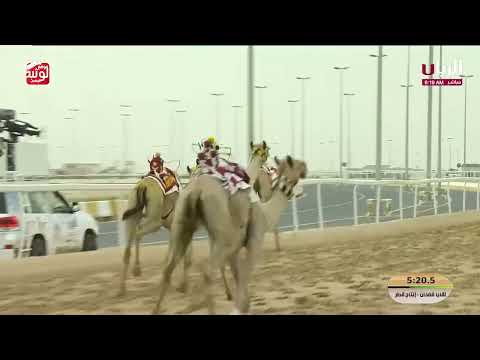 ش 6 (نصوب) لـ حمد صالح بن جابر الشرقي 7:34:13 , مهرجان ختامي الشحانية 2026/04/21 لقايا