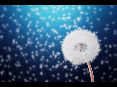 __-- Licence To Chill Mix Vol.16.v2 --__ by Dude (Chillgressive Psychill Psybient Downtempo Mix)