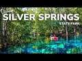 Silver Springs State Park Explore The Largest Artesian Spring In The World