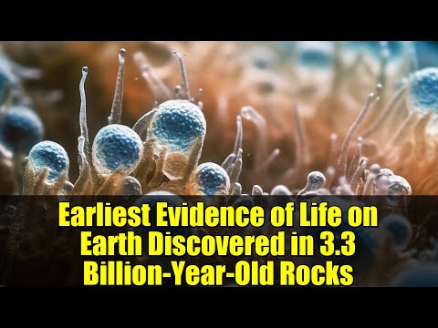 Earliest Evidence of Life on Earth Discovered in 3.3 Billion-Year-Old Rocks | Science Breakthrough
