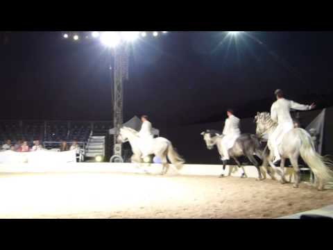 dismappa Verona - WHITE Teatro equestre - Cavallerizzi