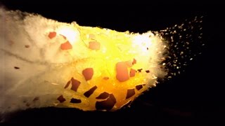 10 Explosions That Will Blow Your Mind